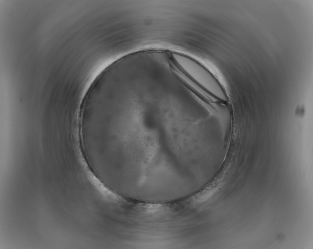 X0000092010903200709201528