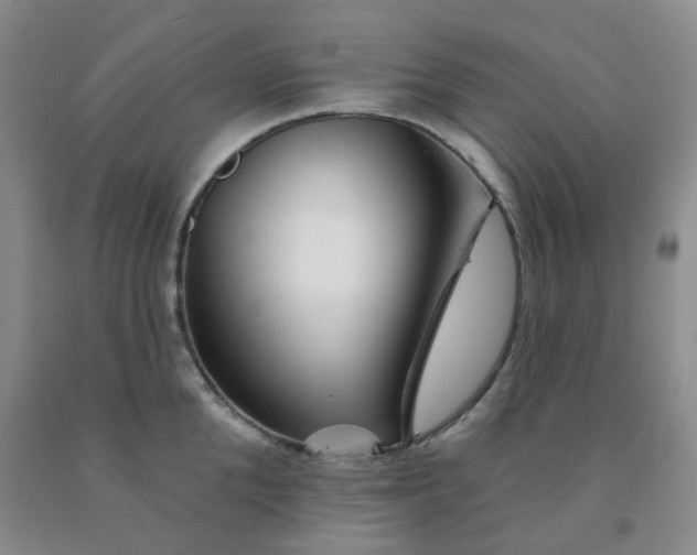 X0000092010904200709201528
