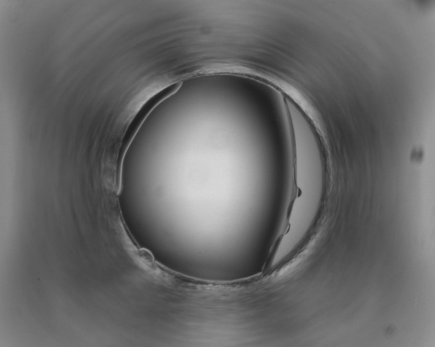 X0000092010905200709201528