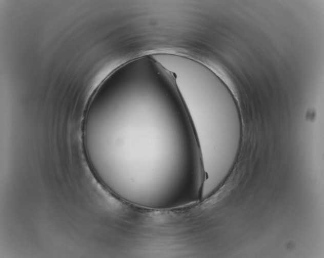 X0000092010906200709201528