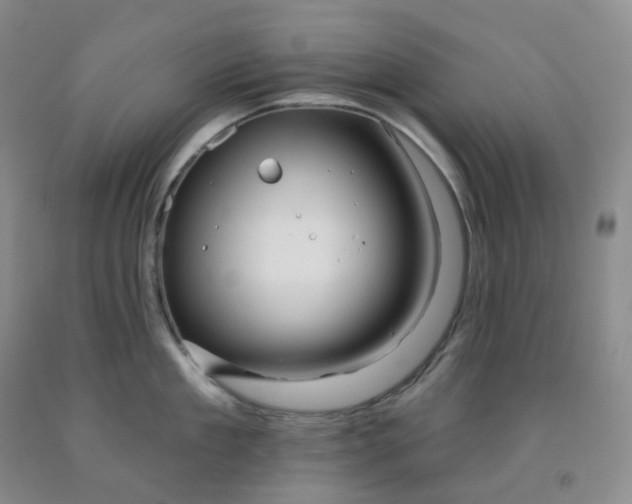 X0000092010909200709201528