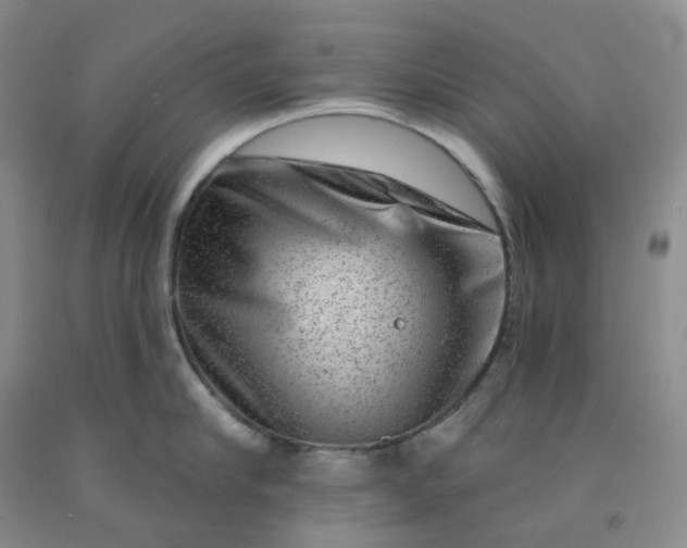 X0000092010910200709201528
