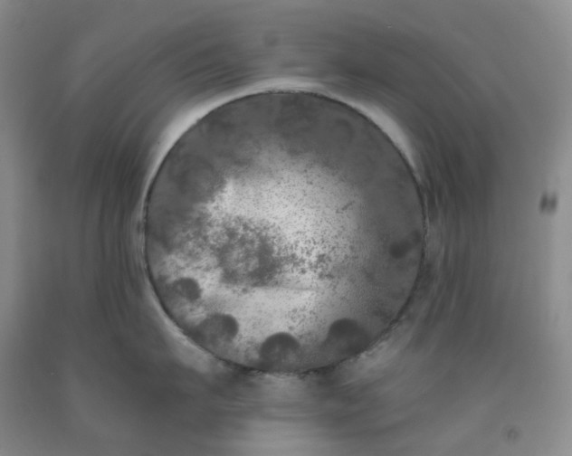 X0000092010911200709201528