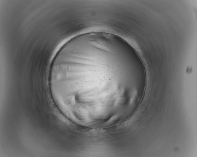 X0000092010912200709201528