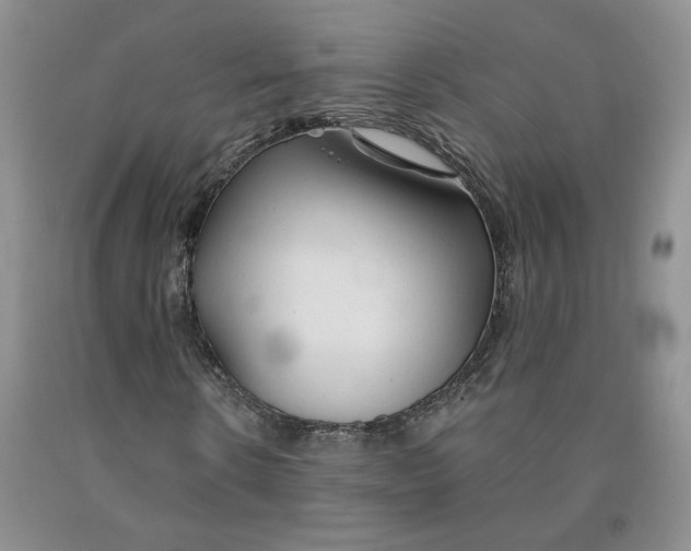 X0000092010914200709201527