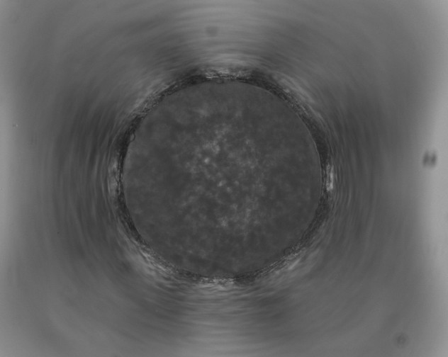 X0000092010915200709201527
