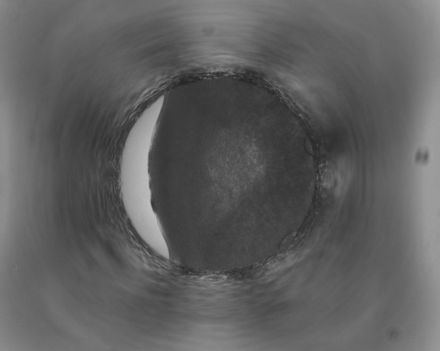 X0000092010916200709201527