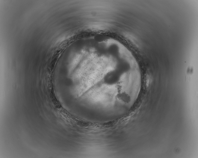 X0000092010917200709201527