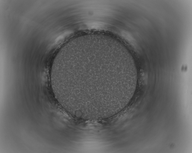 X0000092010918200709201527