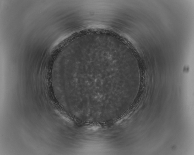X0000092010919200709201527