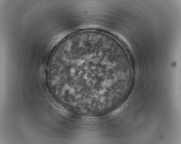 X0000092010921200709201527