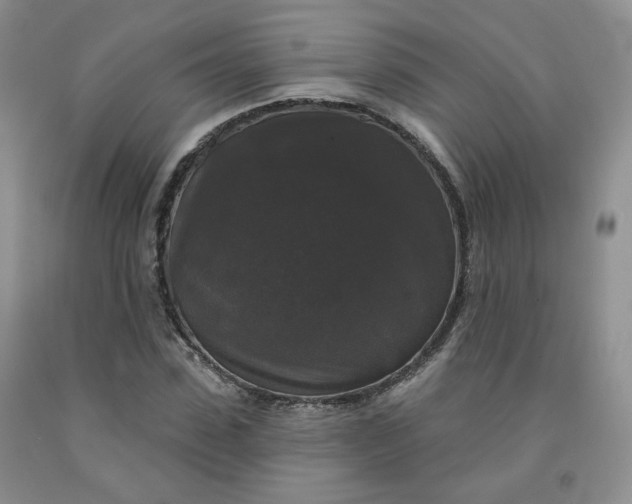 X0000092010923200709201527