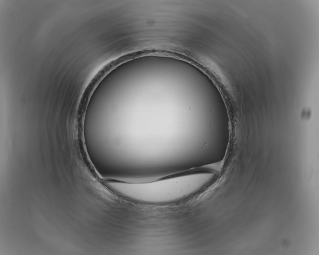 X0000092010924200709201527