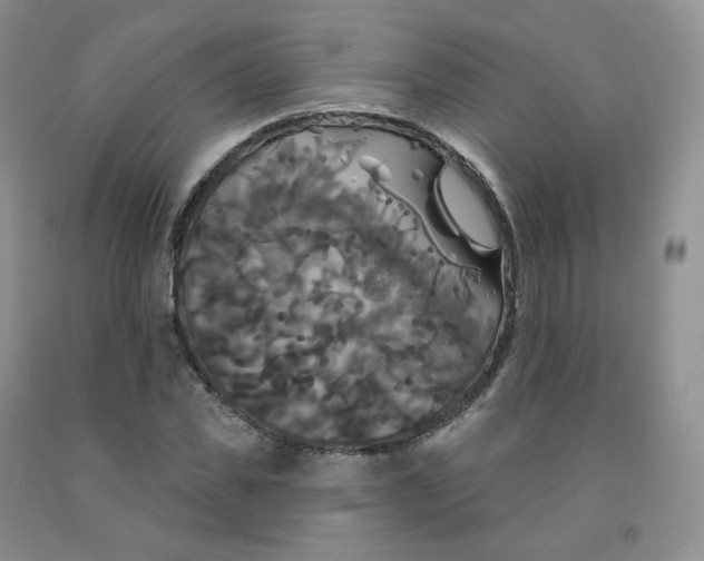 X0000092010925200709201527