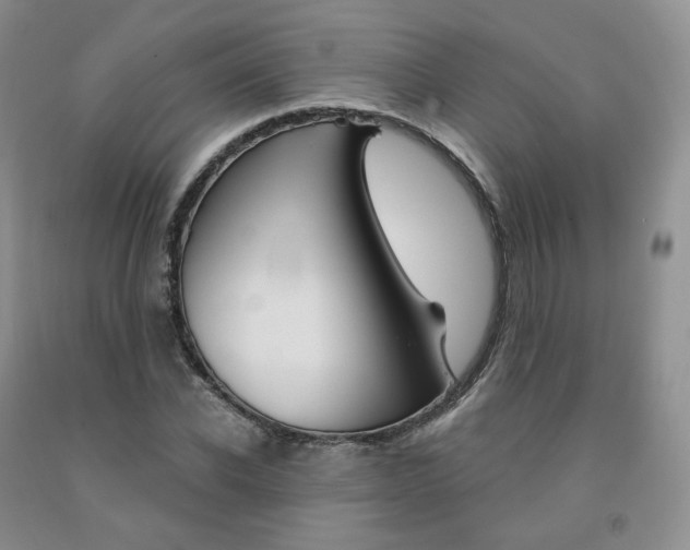 X0000092010926200709201527