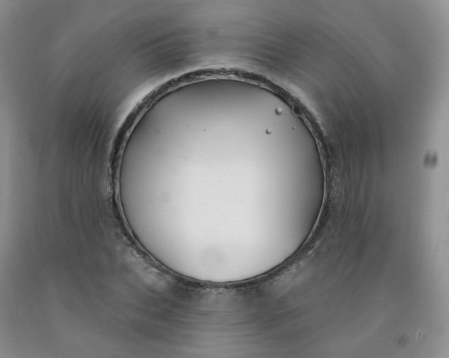 X0000092010927200709201527