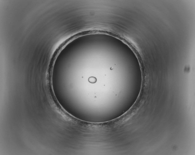 X0000092010928200709201527