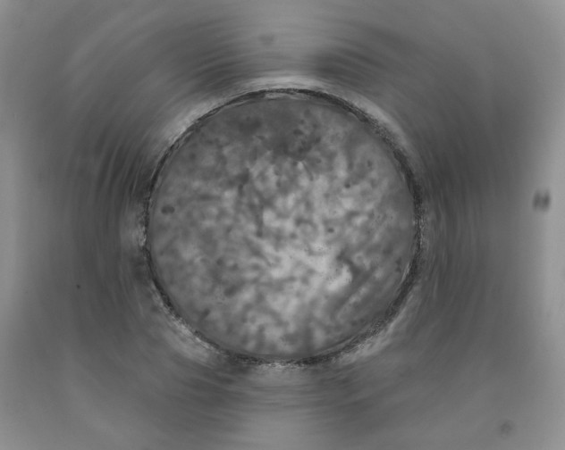 X0000092010929200709201527