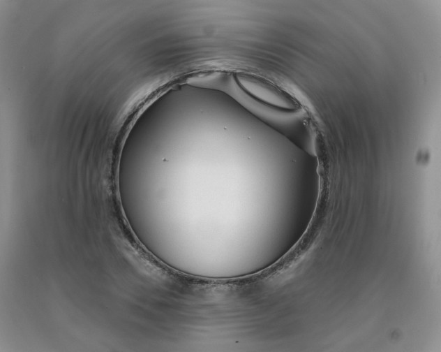 X0000092010930200709201527