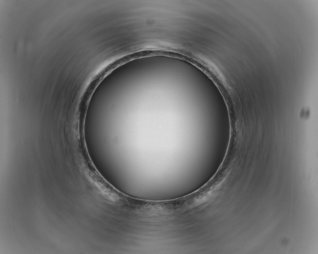 X0000092010931200709201527