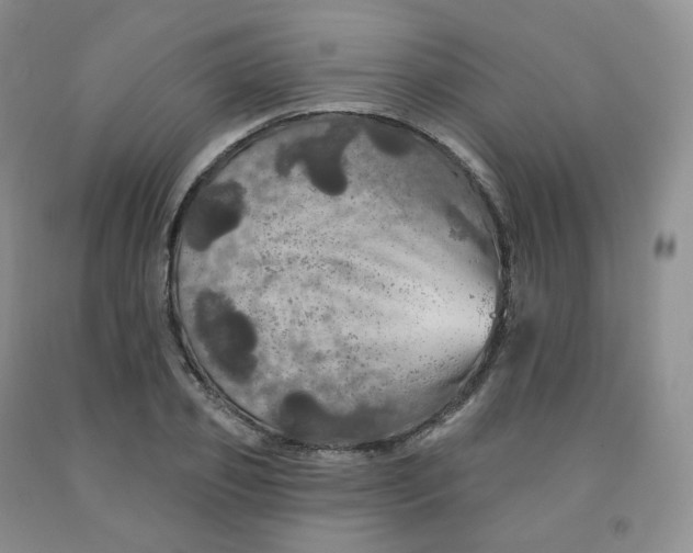 X0000092010933200709201527