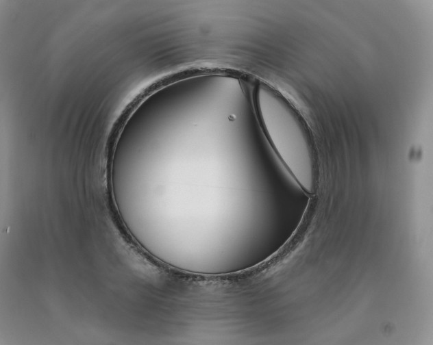X0000092010934200709201527