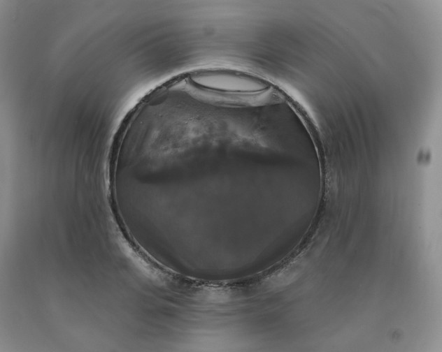X0000092010935200709201527