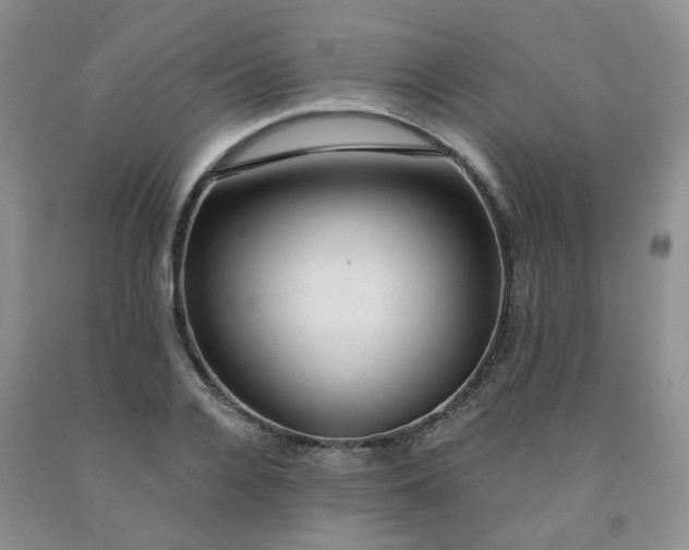 X0000092010936200709201527