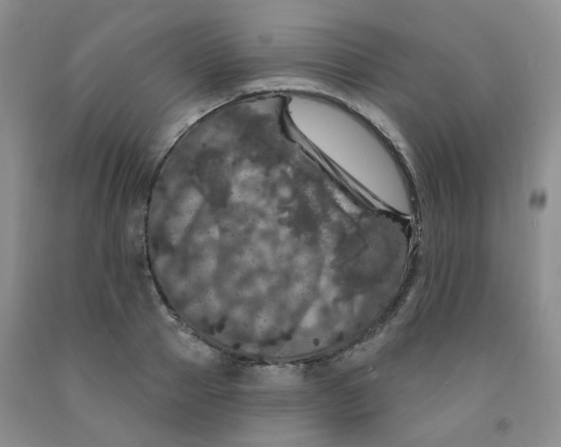 X0000092010937200709201527