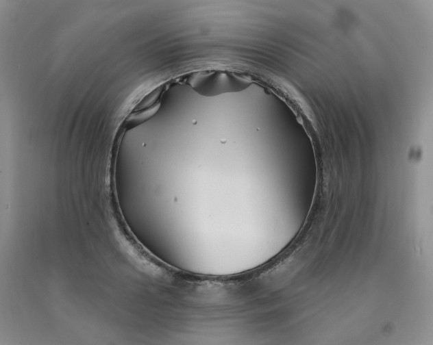 X0000092010938200709201527