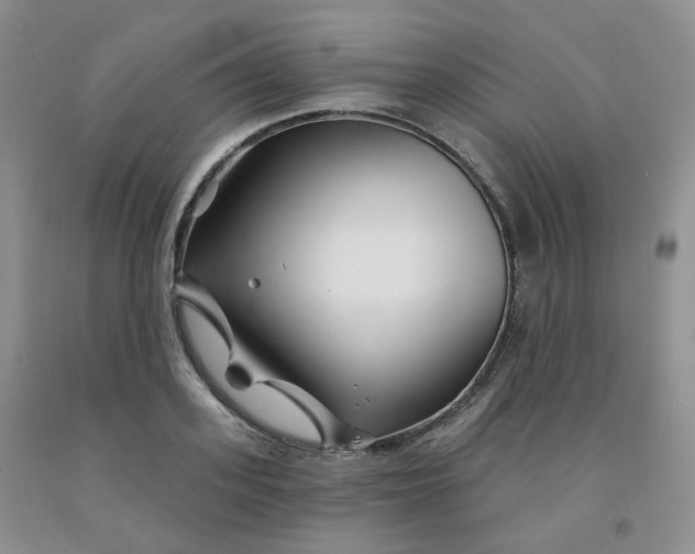 X0000092010939200709201527