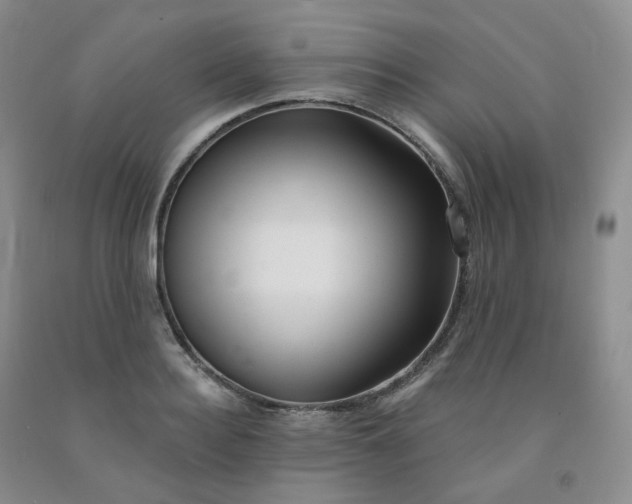 X0000092010940200709201527