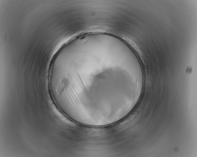 X0000092010941200709201527