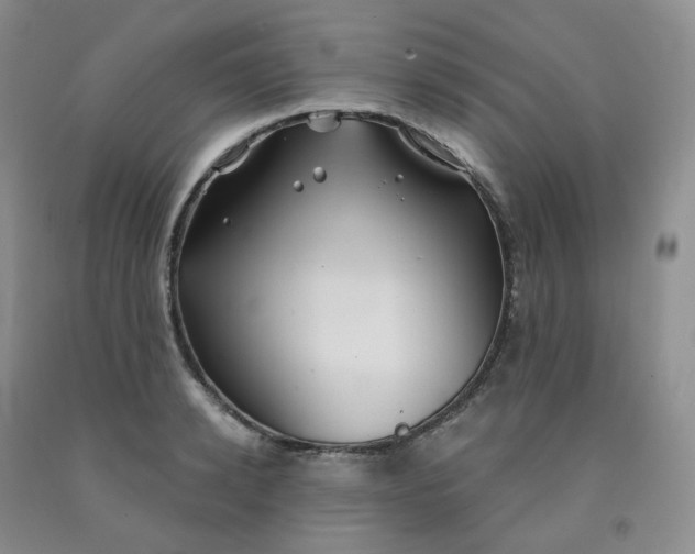 X0000092010942200709201527