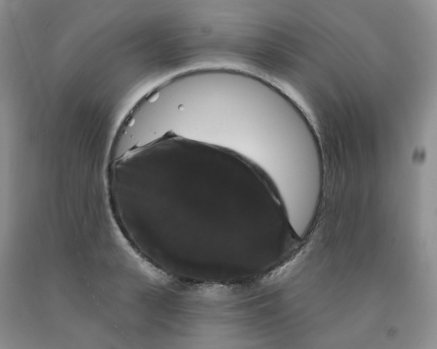 X0000092010943200709201527