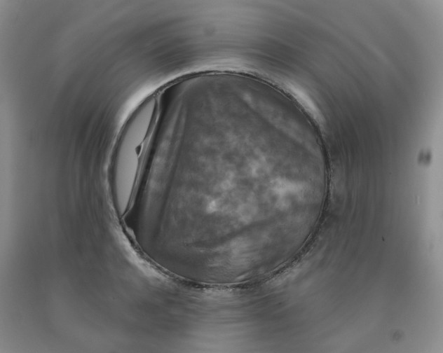 X0000092010944200709201527