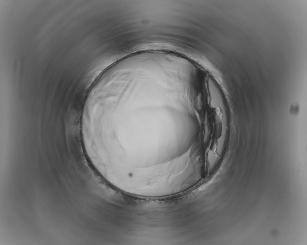 X0000092010945200709201527