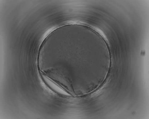 X0000092010946200709201527