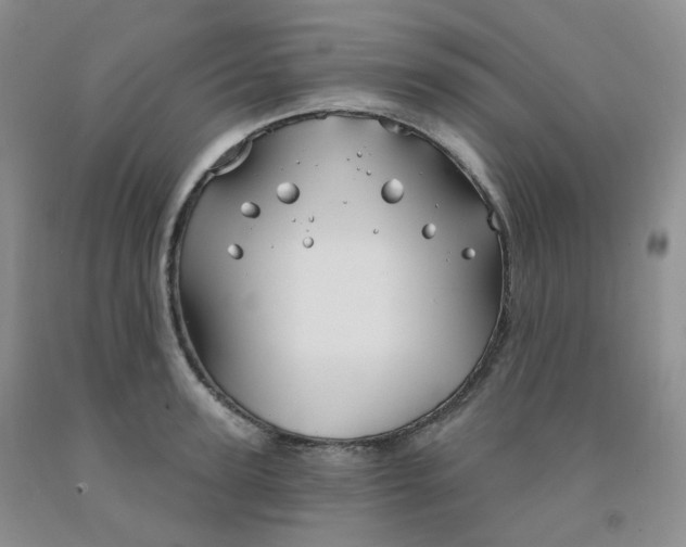 X0000092010947200709201527