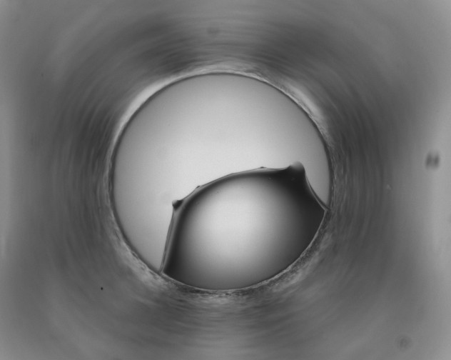X0000092010948200709201527