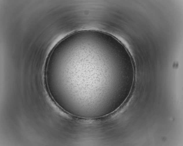 X0000092010949200709201527