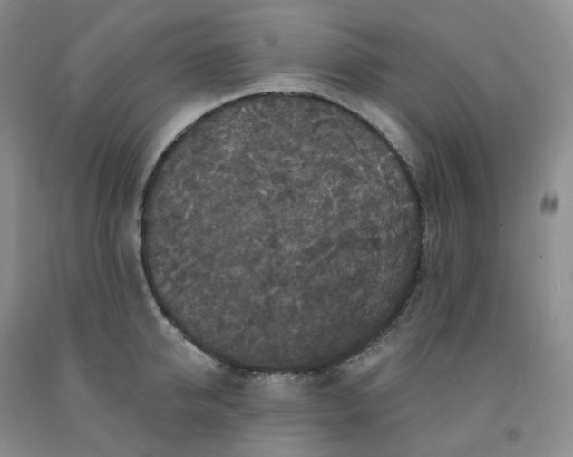 X0000092010950200709201527