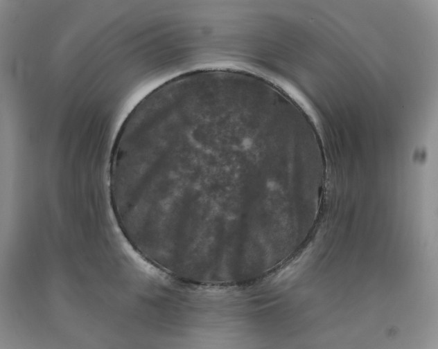X0000092010951200709201527