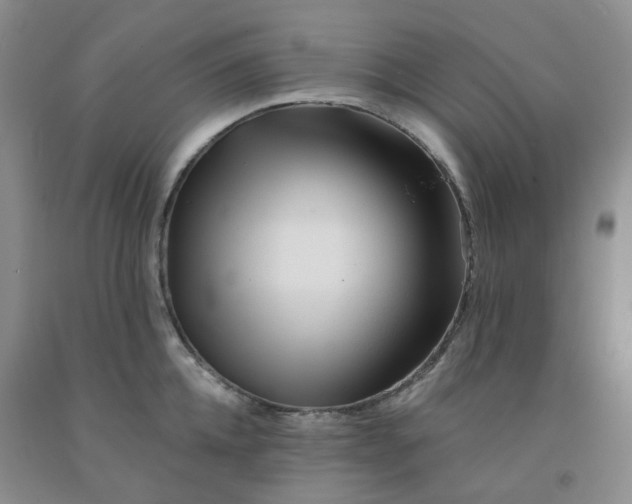 X0000092010952200709201527