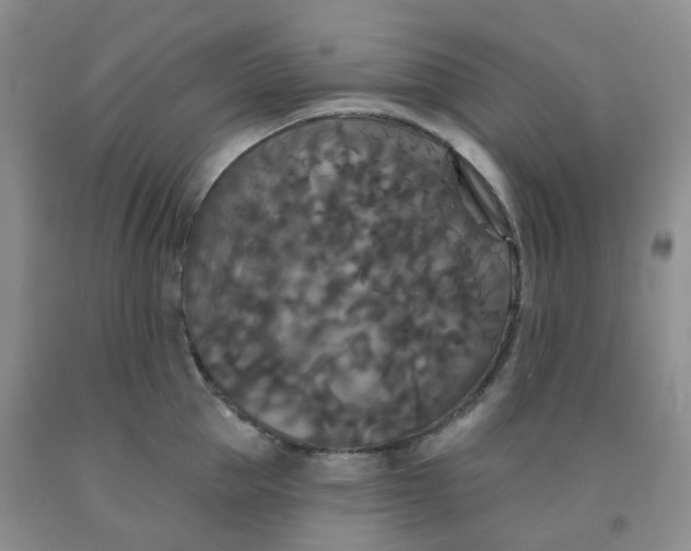 X0000092010953200709201527