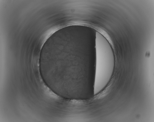 X0000092010954200709201528