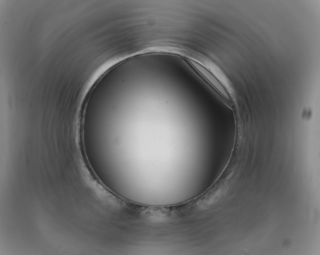 X0000092010955200709201528