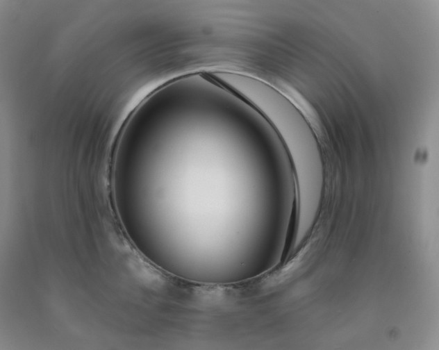 X0000092010956200709201528