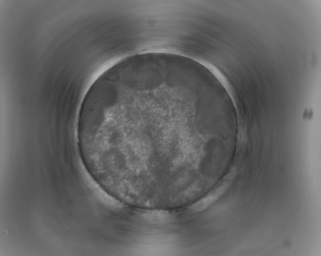 X0000092010957200709201528