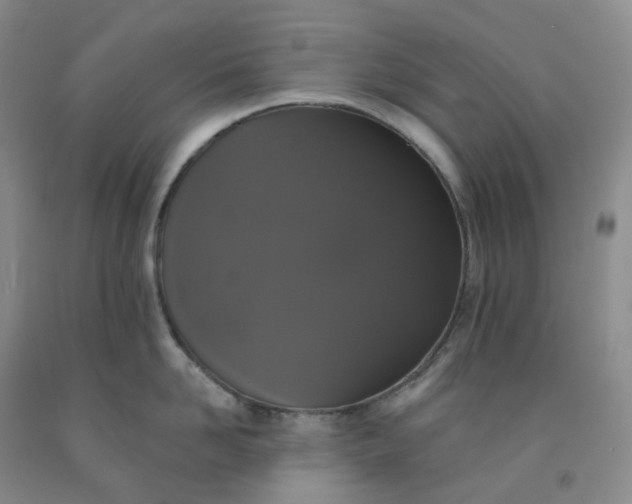 X0000092010958200709201528